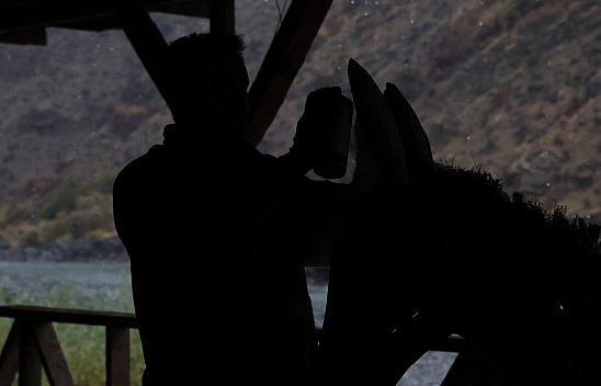 Elazığ'da Kurumuş Kökler ve Dallar Bakın Ne Hale Geliyor