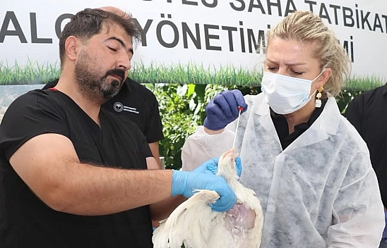 Elazığ'da Kuş Gribine karşı gerçek boyutlu saha tatbikatı