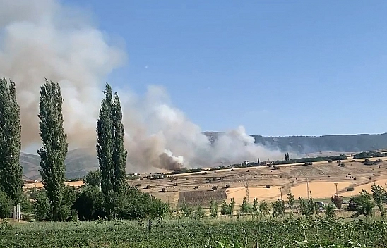 Elazığ'da Kutuşağı'nda Anız Yangını Çıktı