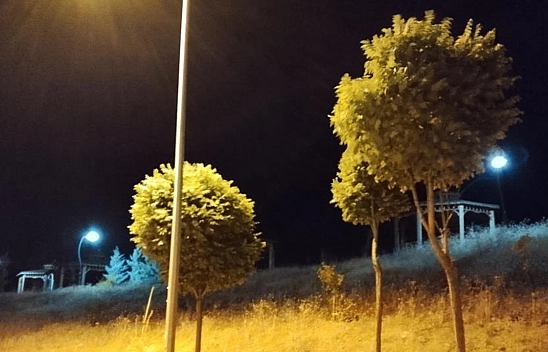 Elazığ'da kuvvetli rüzgar etkili oldu