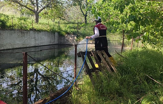 Elazığ'da larva ile mücadele çalışmaları sürüyor