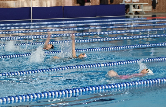 Elazığ'da minikler yüzme müsabakaları sona erdi