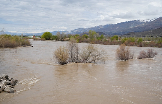 Elazığ da Nasibini Aldı