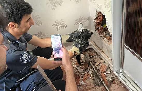 Elazığ'da nefes kesen kedi operasyonu