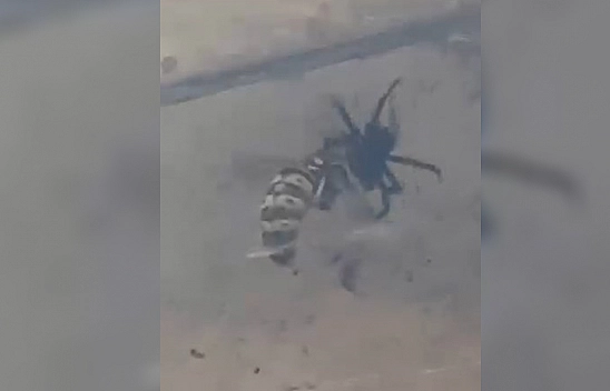 Elazığ'da nefes kesen tuzak