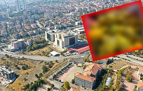 Elazığ'da nerden geldiğini duyan sıraya girdi: Tanesi 20 liradan satıldı poşet poşet alındı