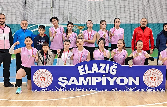 Elazığ'da  NFK  Anadolu Lisesi kız öğrencilerinden büyük başarı!