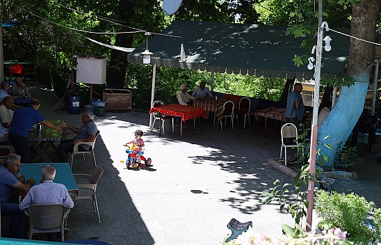 Elazığ'da o kahveye giden uyuyor