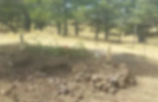 Elazığ'da Ölülere Bile Rahat Yok!