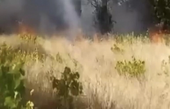 Elazığ'da Örtü ve Bahçe Yangını Paniğe Neden Oldu