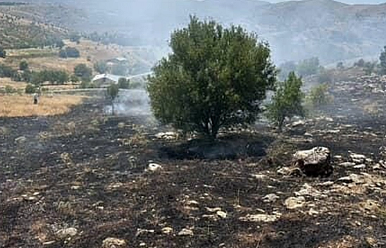 Elazığ'da otluk alanda çıkan yangın söndürüldü