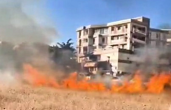 Elazığ'da otluk alanda yangın çıktı!