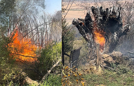 Elazığ'da otluk alanda yangın