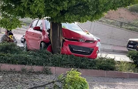 Elazığ'da Otomobil Ağaca Çarptı