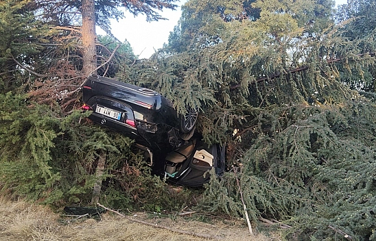 Elazığ'da otomobil ağaca çarptı: 1 yaralı