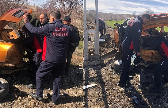 Elazığ'da Otomobil Aydınlatma Direğine Çarptı