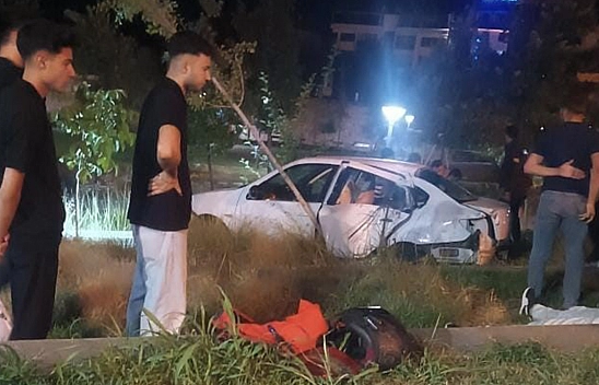 Elazığ'da otomobil Millet Bahçesi'ne daldı: 5 yaralı