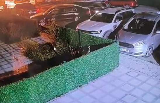 Elazığ'da park halindeki otomobile çarpıp kaçtı