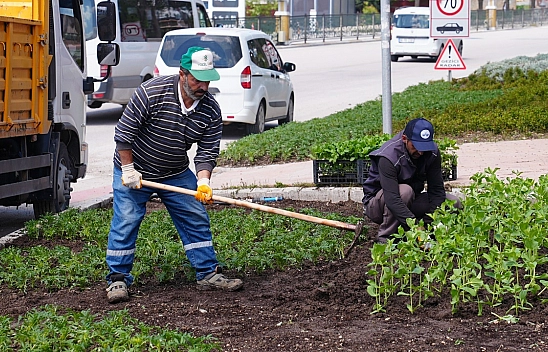 Elazığ'da park ve refüjler çiçek açıyor