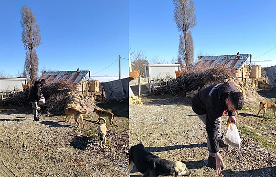 Elazığ'da patili dostlar unutulmadı
