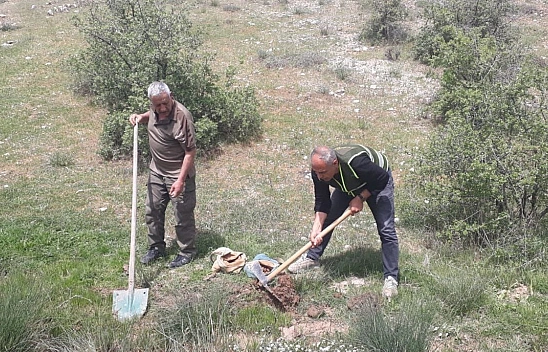 Elazığ'da Rekor Ceza! Görenler Şok Oluyor