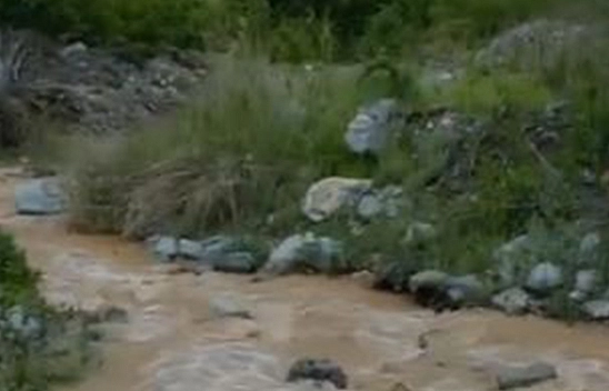 Elazığ'da sağanak yağışlar dereleri hareketlendirdi