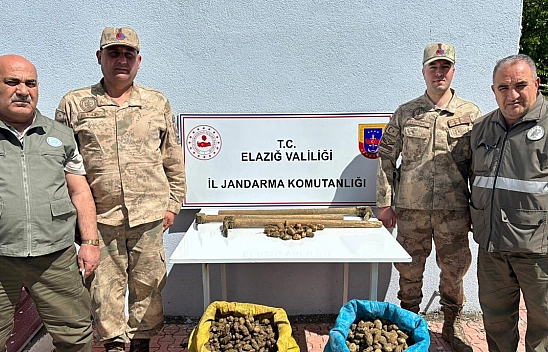 Elazığ'da Salep Bitkisi Toplayan 4 Kişiye İdari Para Cezası Uygulandı