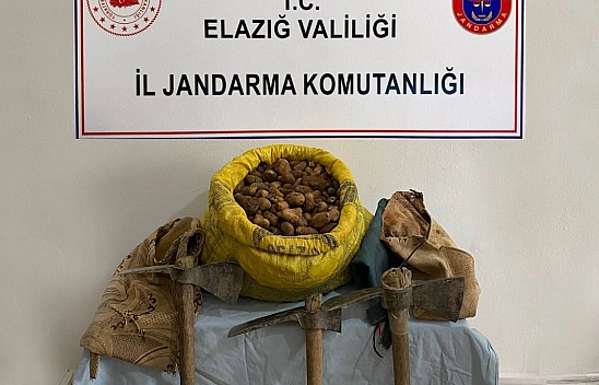 Elazığ'da Salep Toplayanlara Rekor Ceza