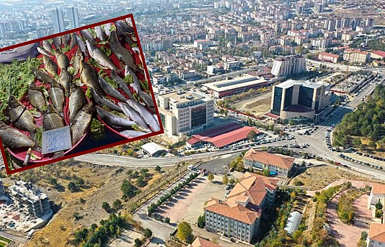 Elazığ'da satılamayınca fiyat çakıldı: Duyan buraya koşuyor