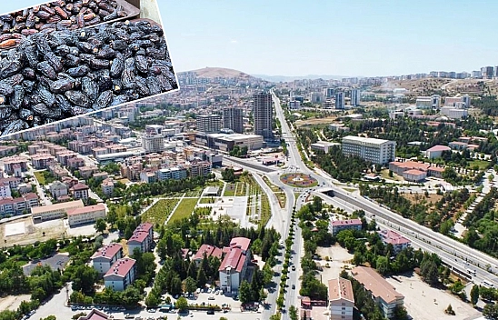 Elazığ'da satışlar yüzde 70 düştü, esnaf gelişlerine sevinemedi