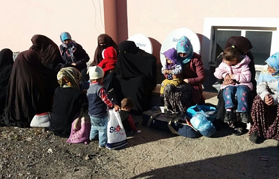 Elazığ'da Sayıları Her Geçen Gün Artıyor!