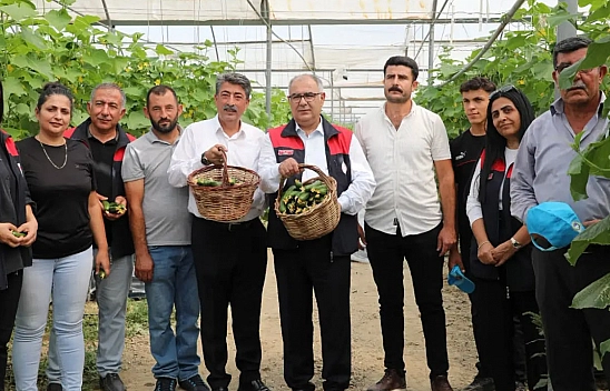 Elazığ'da seralar yenileniyor, üretim güçleniyor