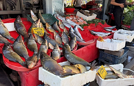 Elazığ'da sezon açıldı satıcılar umduğunu bulamadı
