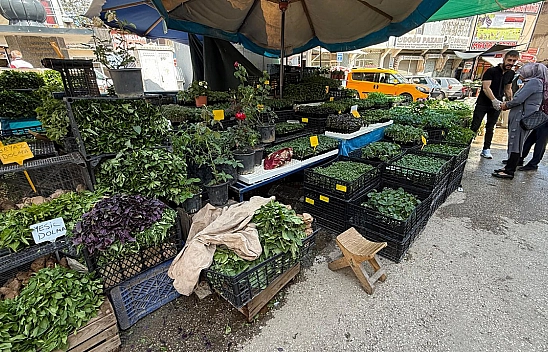 Elazığ'da Şıra Meydanı Cıvıl Cıvıl