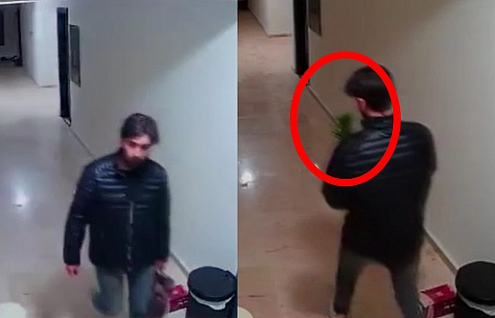Elazığ'da sıradışı hırsızlık: Çiçek çaldı