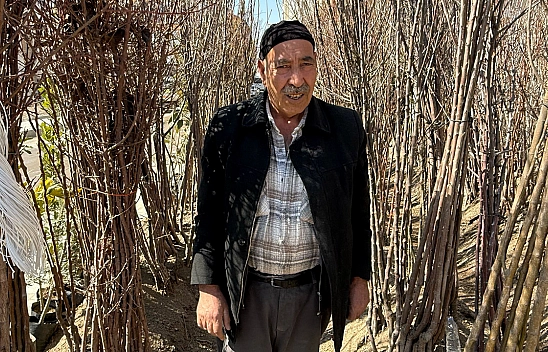 Elazığ'da soğuk hava o sektörü de dondurdu