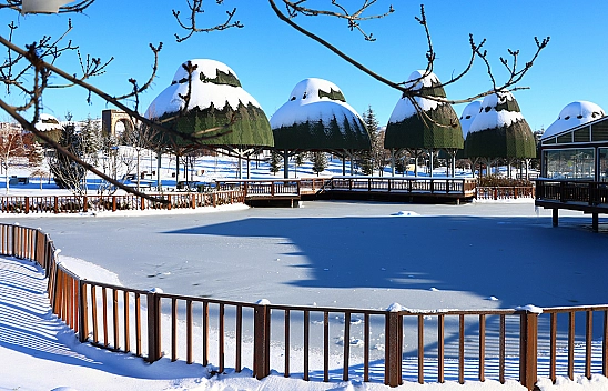 Elazığ'da soğuk hava süs havuzlarını dondurdu