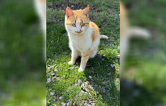 Elazığ'da son hazırlıklar yapılıyor