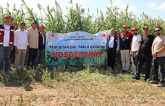 Elazığ'da sorgum sudan otu melezi üretimi yaygınlaşıyor