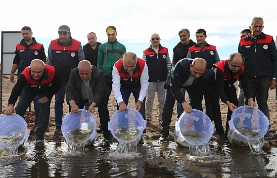 Elazığ'da su kaynakları canlanıyor: Kalecik Barajı'na 11 bin 800 sazan yavrusu bırakıldı