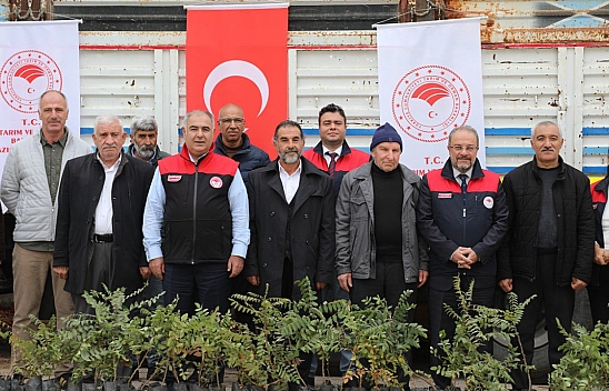 Elazığ'da sumak üretimi artıyor