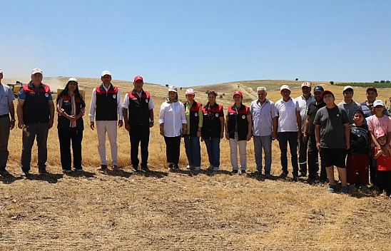 Elazığ'da TAKE desteğiyle mercimek üretimi artıyor