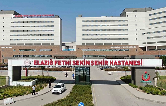 Elazığ'da talihsiz olay: Eşek arısı sokması can aldı