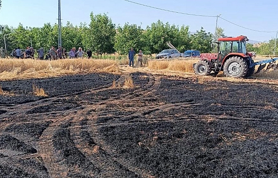 Elazığ'da tarla alevlere teslim oldu