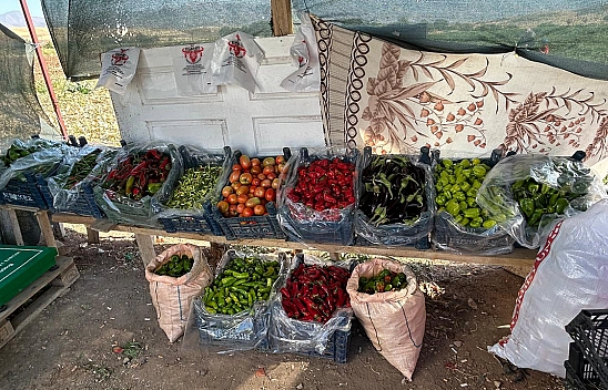 Elazığ'da tarladan sofraya uygun fiyatlı sebze