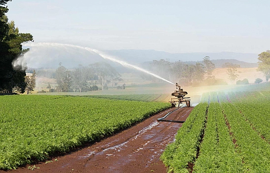 Elazığ'da tarlalar tek tek tespit ediliyor! Elazığ'da 45 günlük süre başladı… Hepsi kiraya verilecek