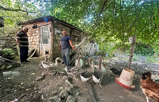 Elazığ'da tilki nöbeti