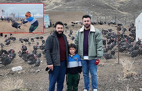 Elazığ'da koç fiyatına hindi