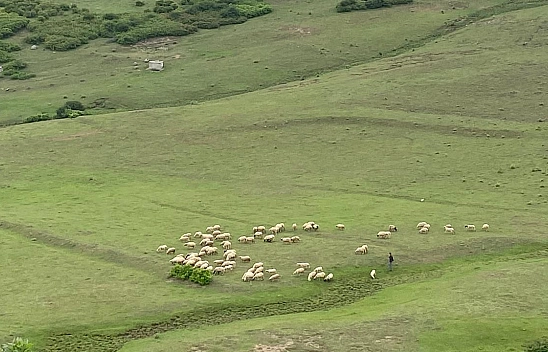 Elazığ'da ucuz diye tüketip sağlığınızdan olmayın