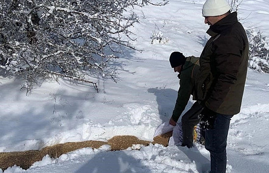 Elazığ'da Unutulmayanlar Canlar